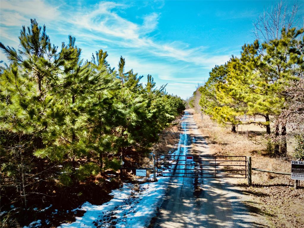 0 Stonewall-Frierson Road Frierson, LA 71027 - Photo 2 of 22 a picture of street view