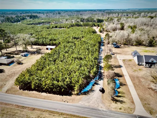 a view of a terrace with a garden