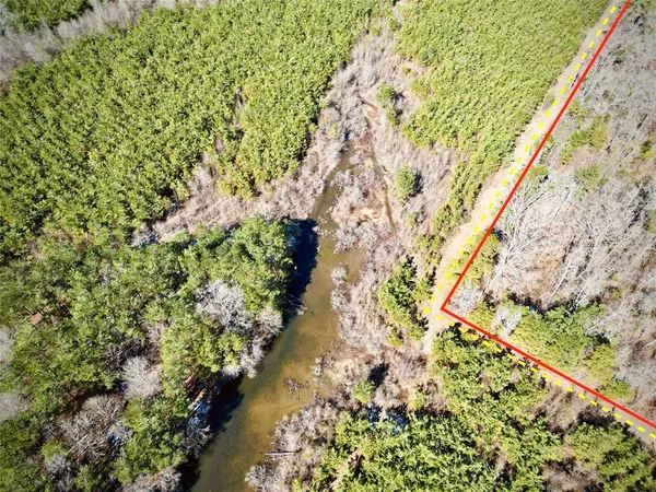 a view of a lush green field with plants and large trees