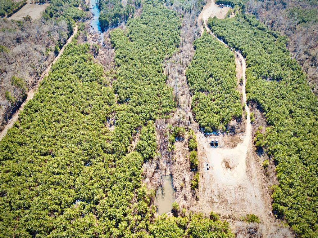 0 Stonewall-Frierson Road Frierson, LA 71027 - Photo 8 of 22