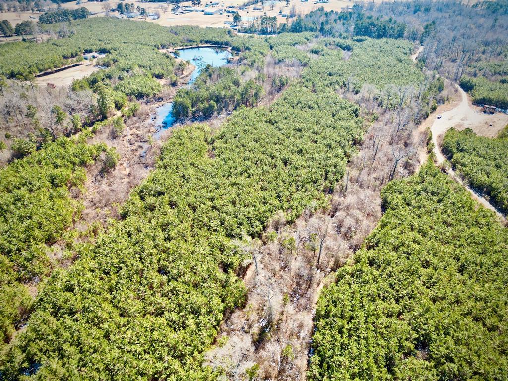 0 Stonewall-Frierson Road Frierson, LA 71027 - Photo 9 of 22 a view of a lush green field with plants and large trees