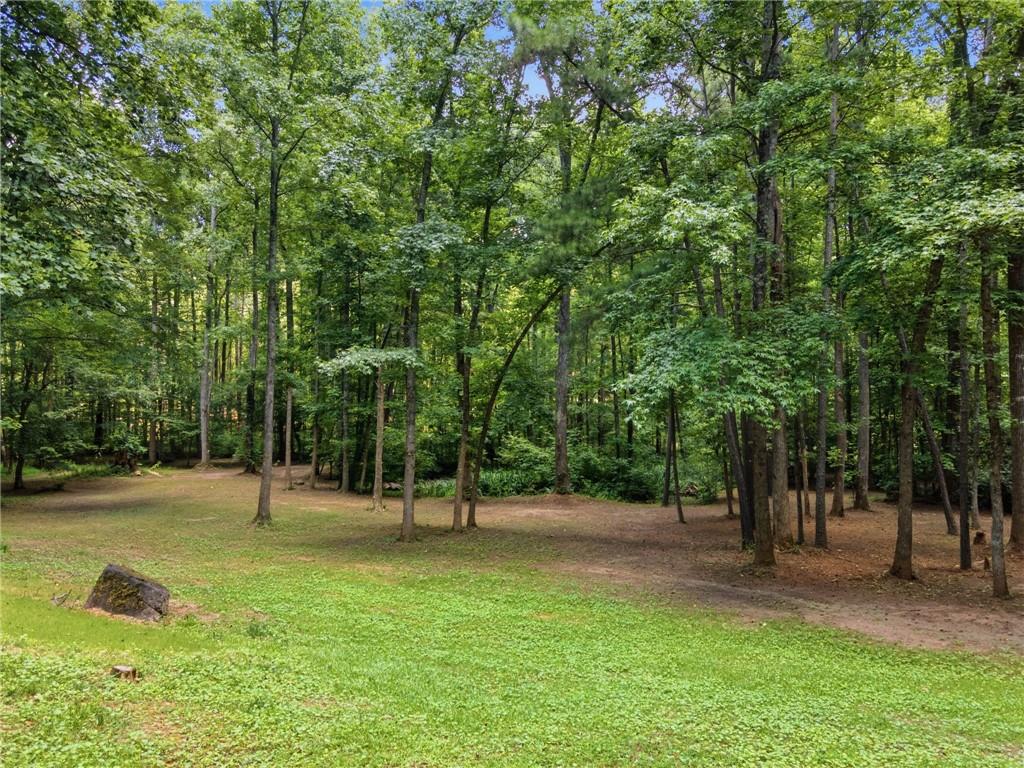 68 Country Creek Road White, GA 30184 - Photo 36 of 47