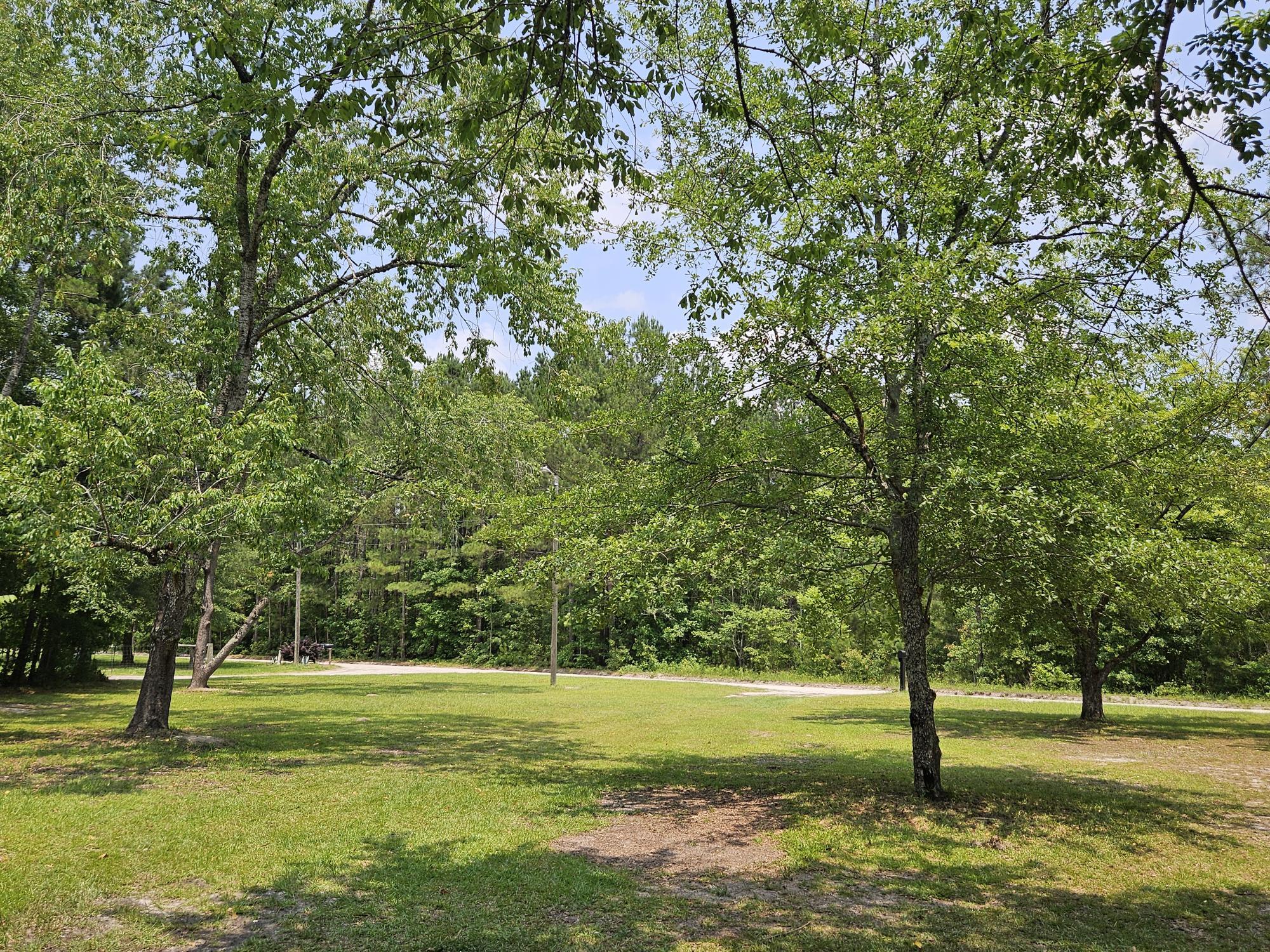 1553 Fairfield Road Manning, SC 29102 - Photo 3 of 24 FRONT YARD