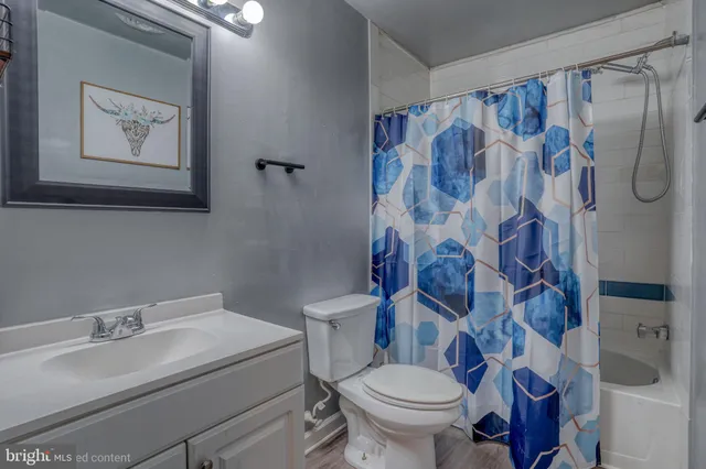 a bathroom with a sink toilet and a shower