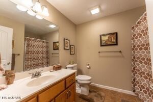 338 Pistole Road Sparta, TN 38583 - Photo 18 of 39 a bathroom with a sink vanity mirror and toilet