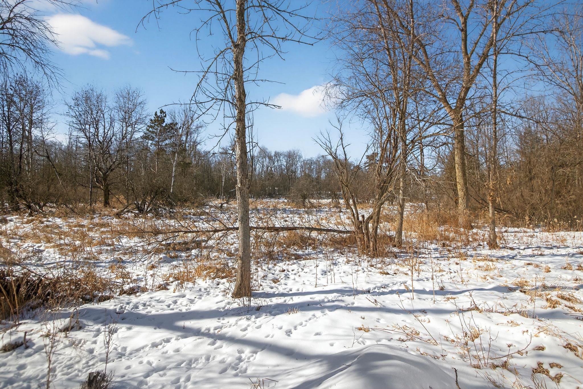 631 Fiddlehead Court Green Lake, WI 54941 - Photo 40 of 60