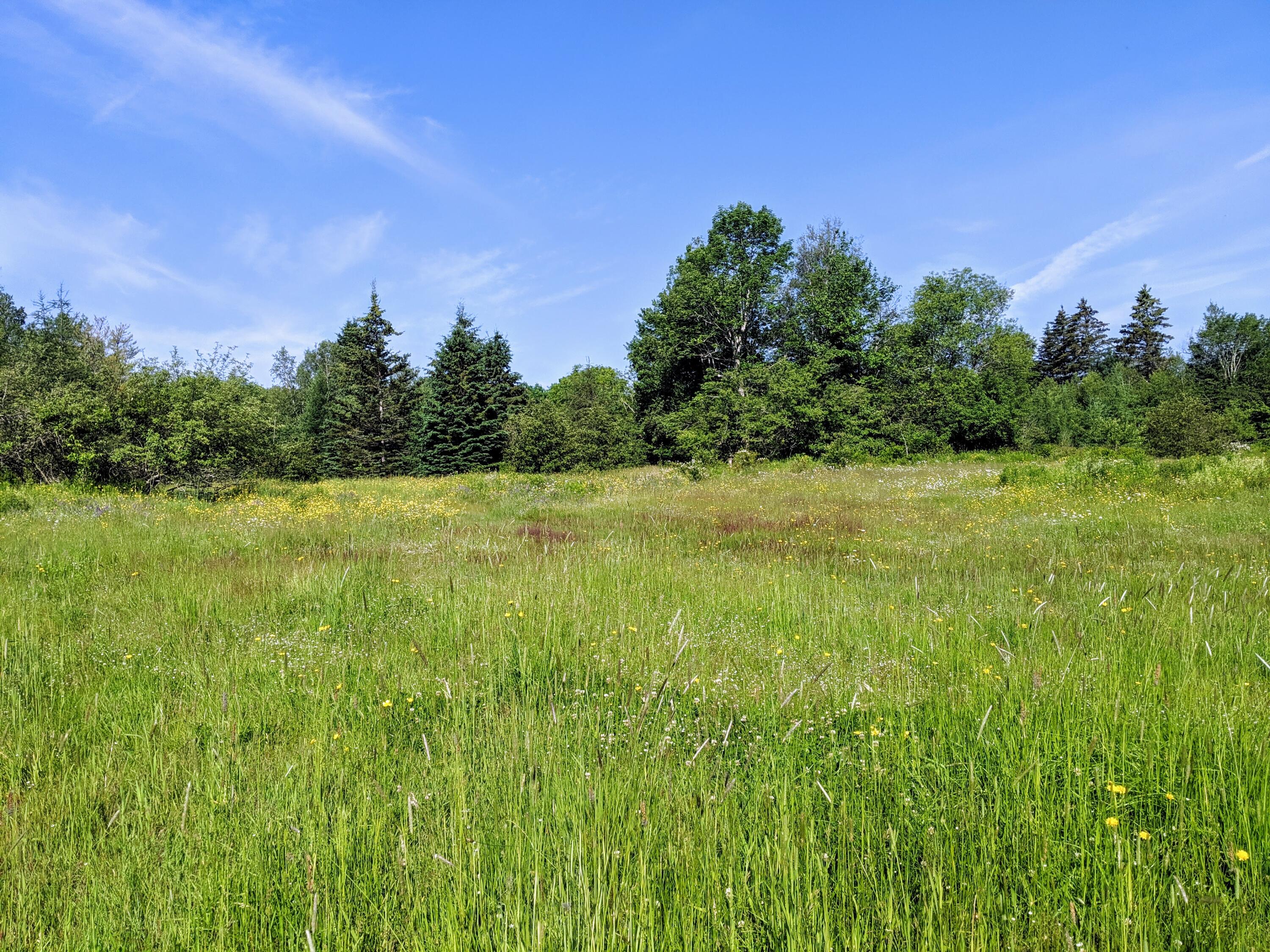 201 Milbridge Road Cherryfield, ME 04622 - Photo 32 of 43 IMG_20190704_084828