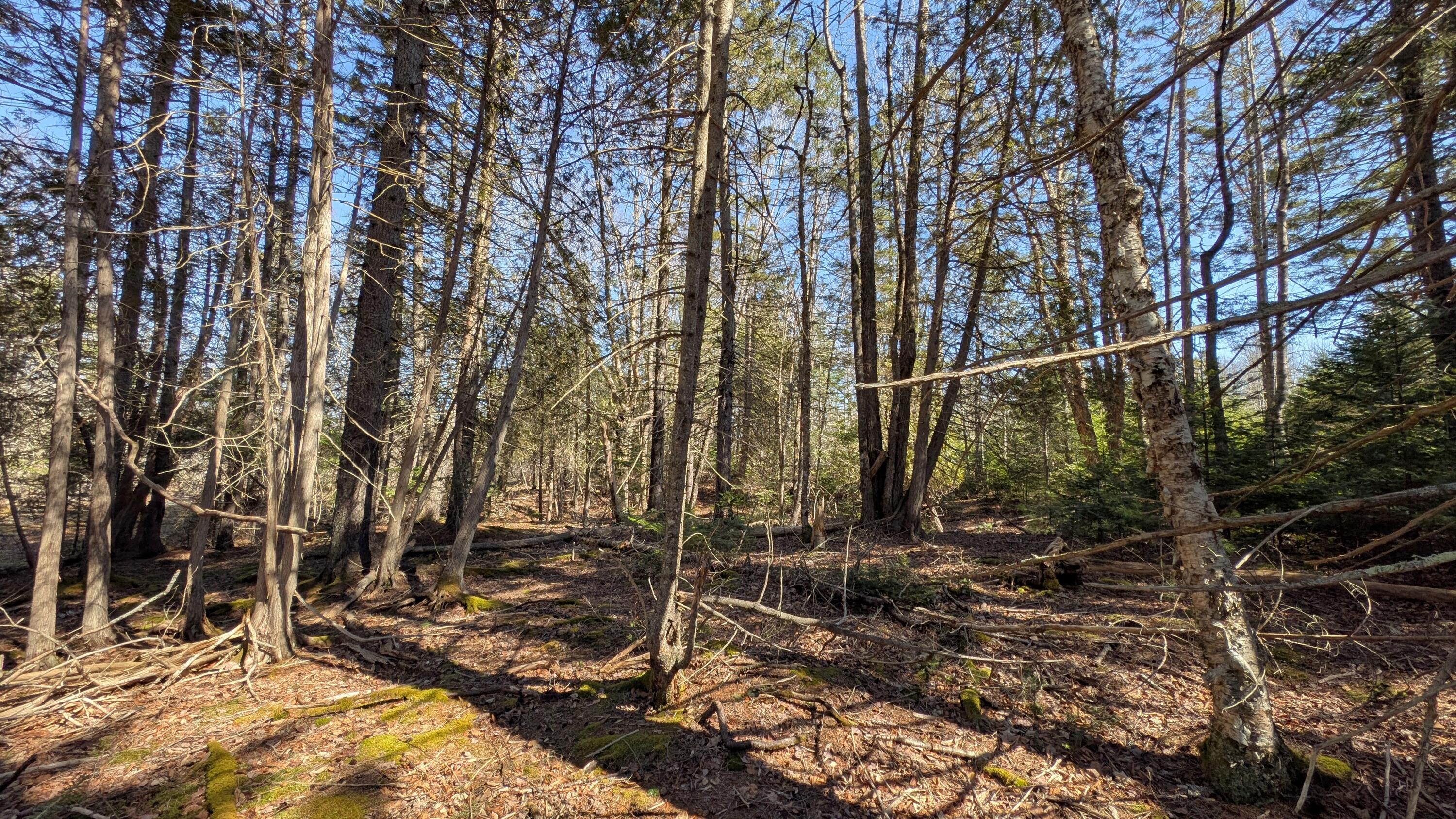 201 Milbridge Road Cherryfield, ME 04622 - Photo 40 of 43 PXL_20260409_180931771