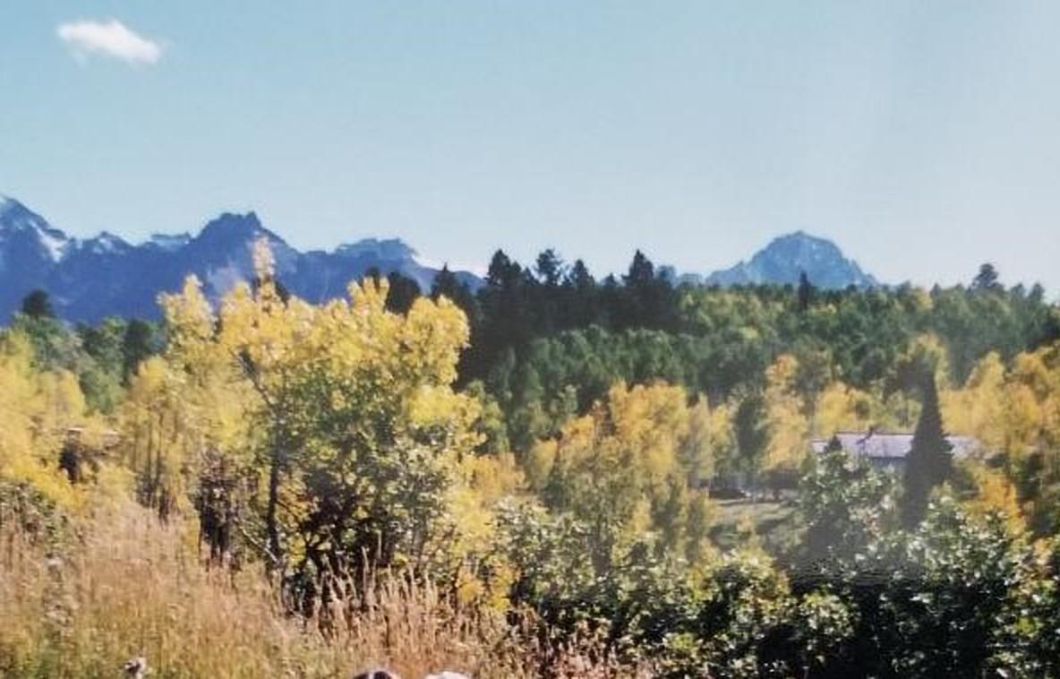 124 Alpine Lane Ridgway, CO 81432 - Photo 1 of 15 Taglia Main for ad.v1