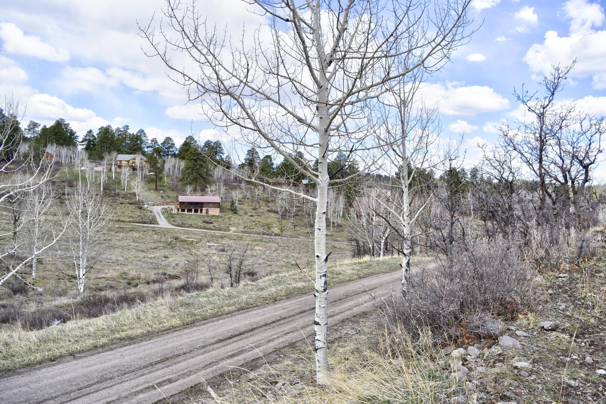 124 Alpine Lane Ridgway, CO 81432 - Photo 11 of 15 _DSC2579_Realistic