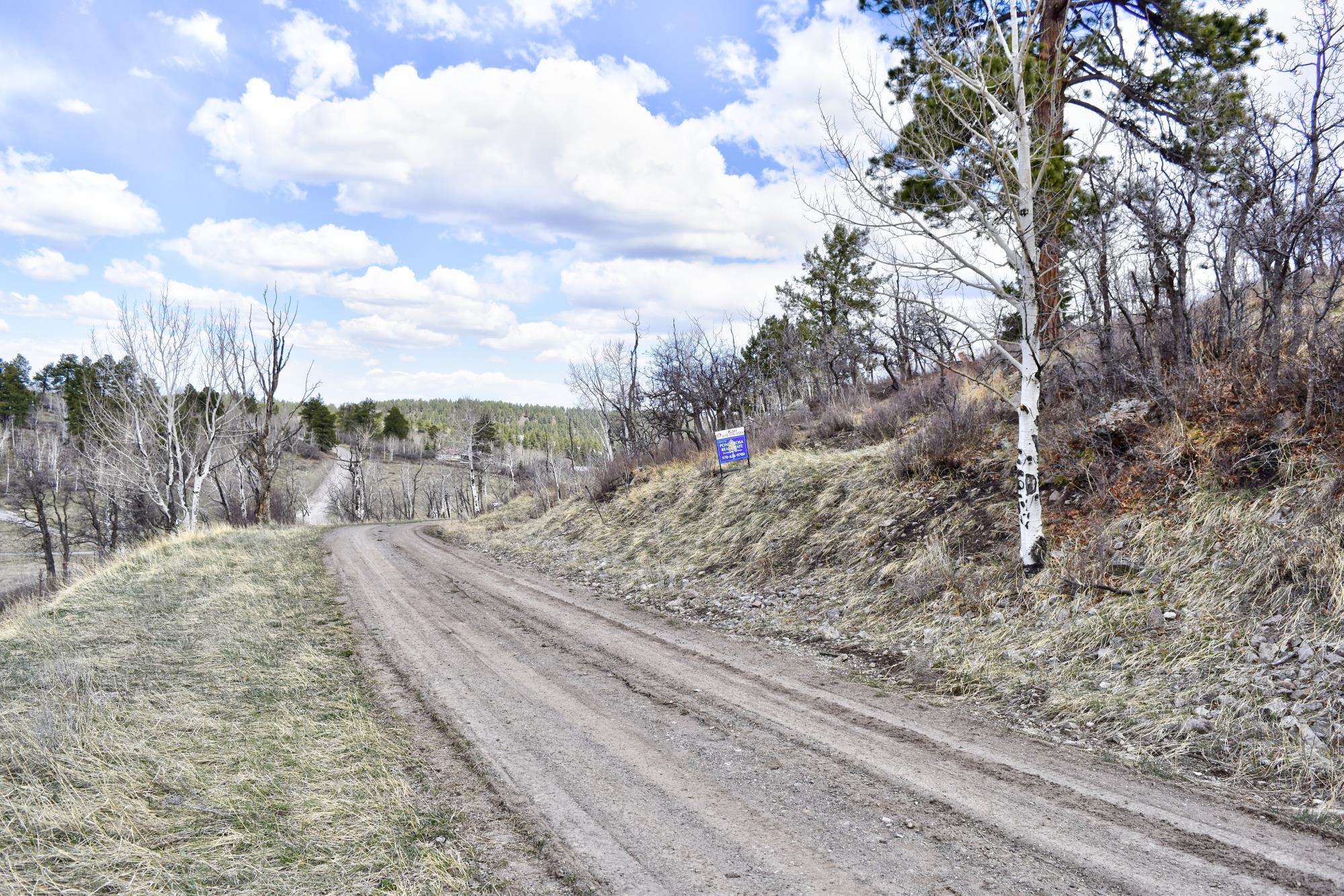 124 Alpine Lane Ridgway, CO 81432 - Photo 8 of 15 _DSC2578_Realistic