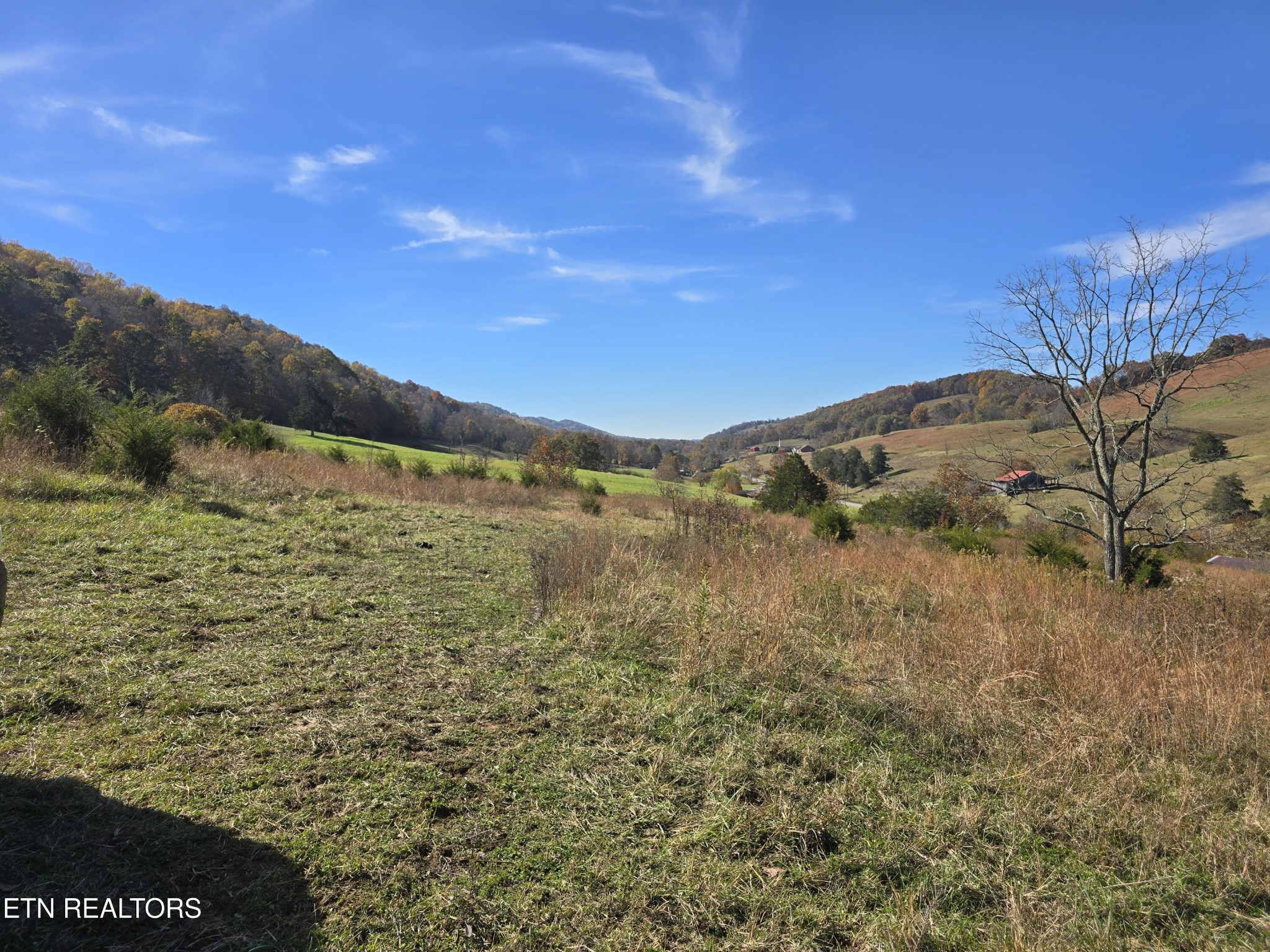 2391 Hogskin Road Washburn, TN 37888 - Photo 23 of 30 Gallery Image 23