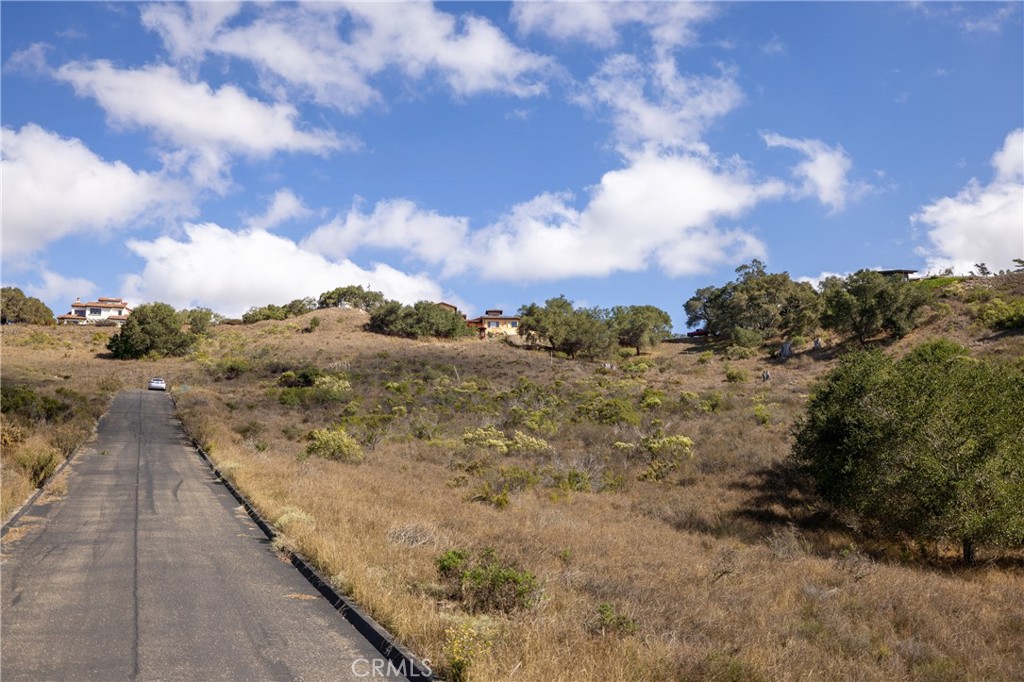 1170 Montecito Ridge Drive Arroyo Grande, CA 93420 - Photo 5 of 7 a view of a dry yard with wooden fence