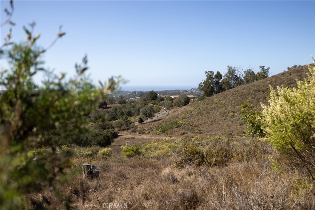 1170 Montecito Ridge Drive Arroyo Grande, CA 93420 - Photo 6 of 7 a view of a dry yard with trees in the background