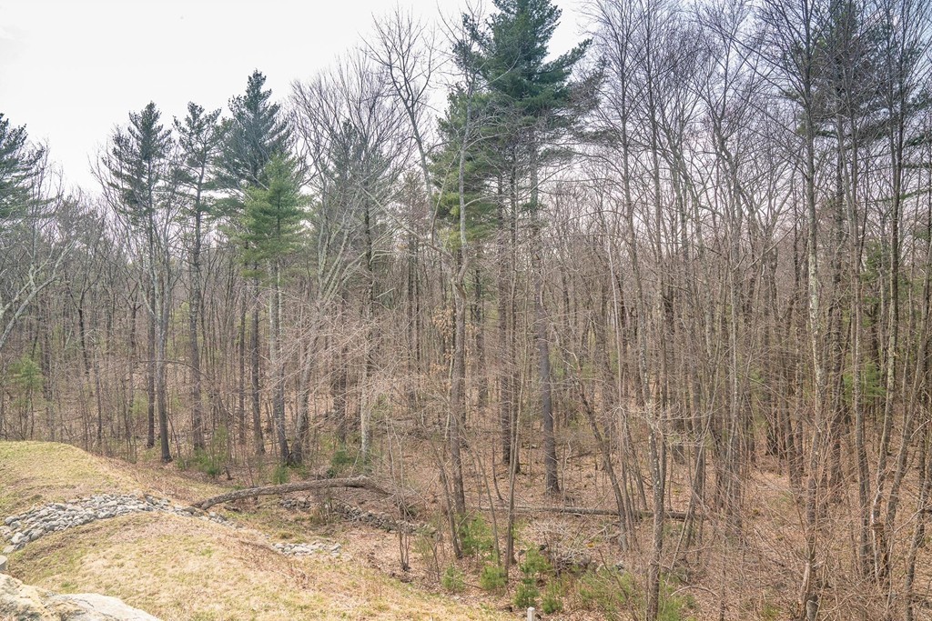 1 Cranberry Circle, Unit 1 Upton, MA 01568 - Photo 37 of 41