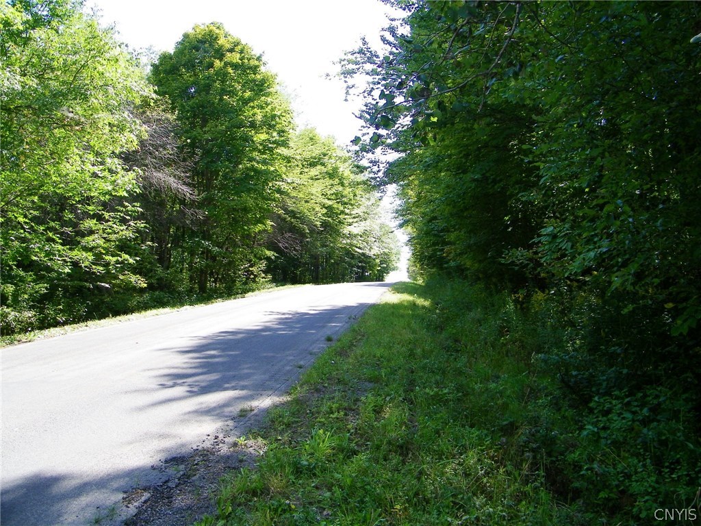 0 Ryan Road Redfield, NY 13437 - Photo 3 of 16 Gallery Image 3