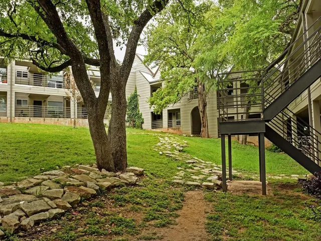 a view of a tree in a yard