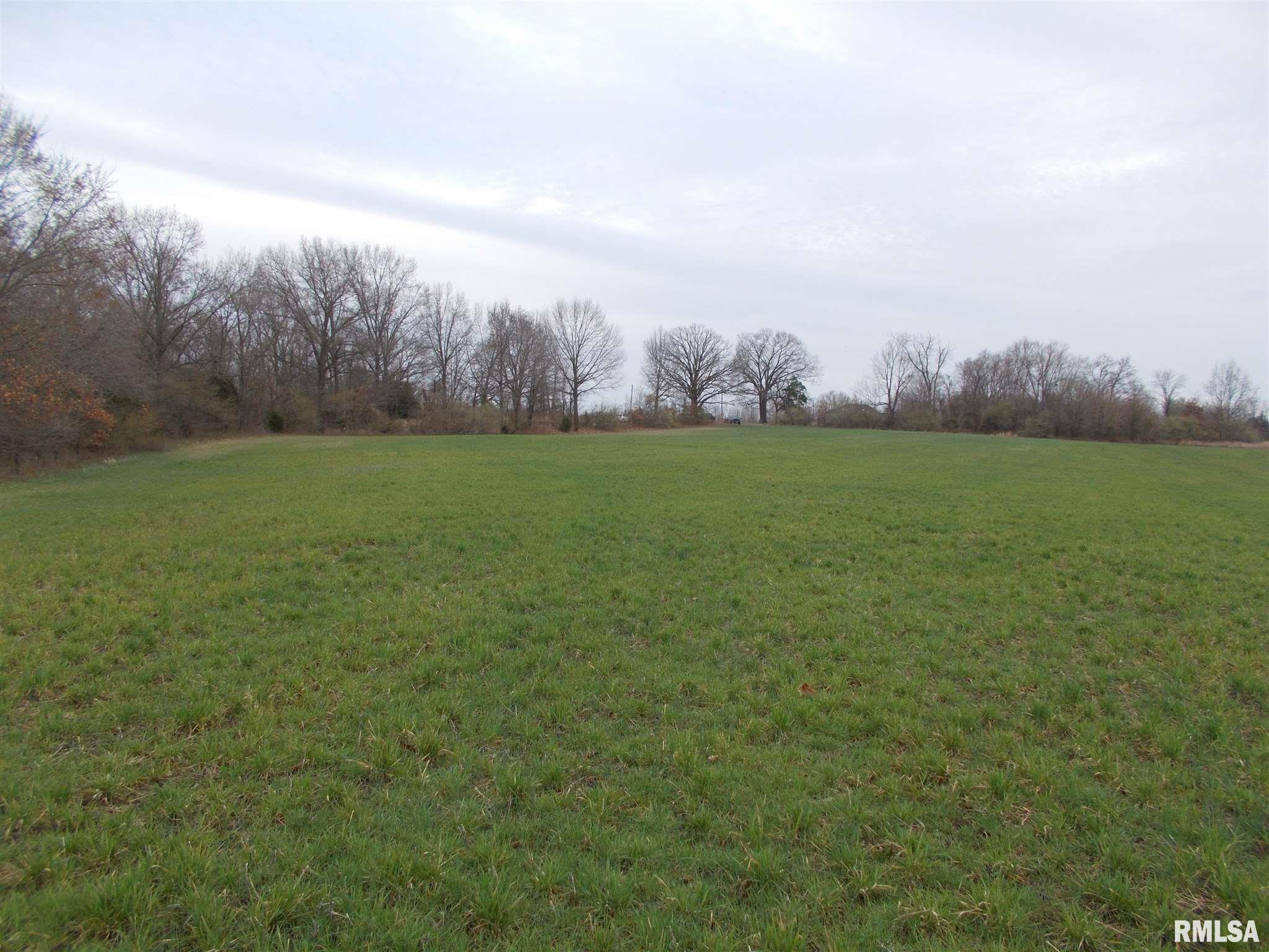 0 East Bethel Road Benton, IL 62812 - Photo 3 of 16 Gallery Image 3