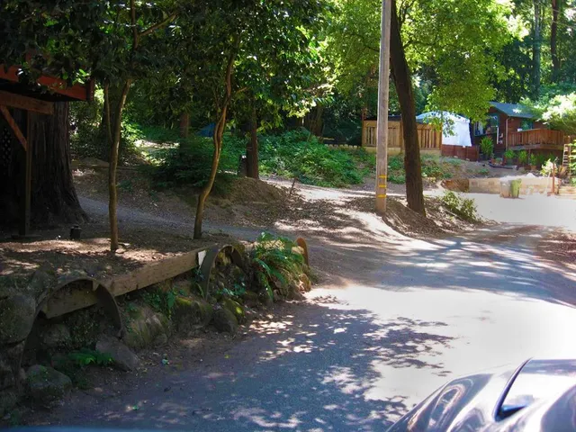 a view of a street with a tree