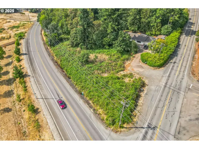 a view of a garden from a balcony