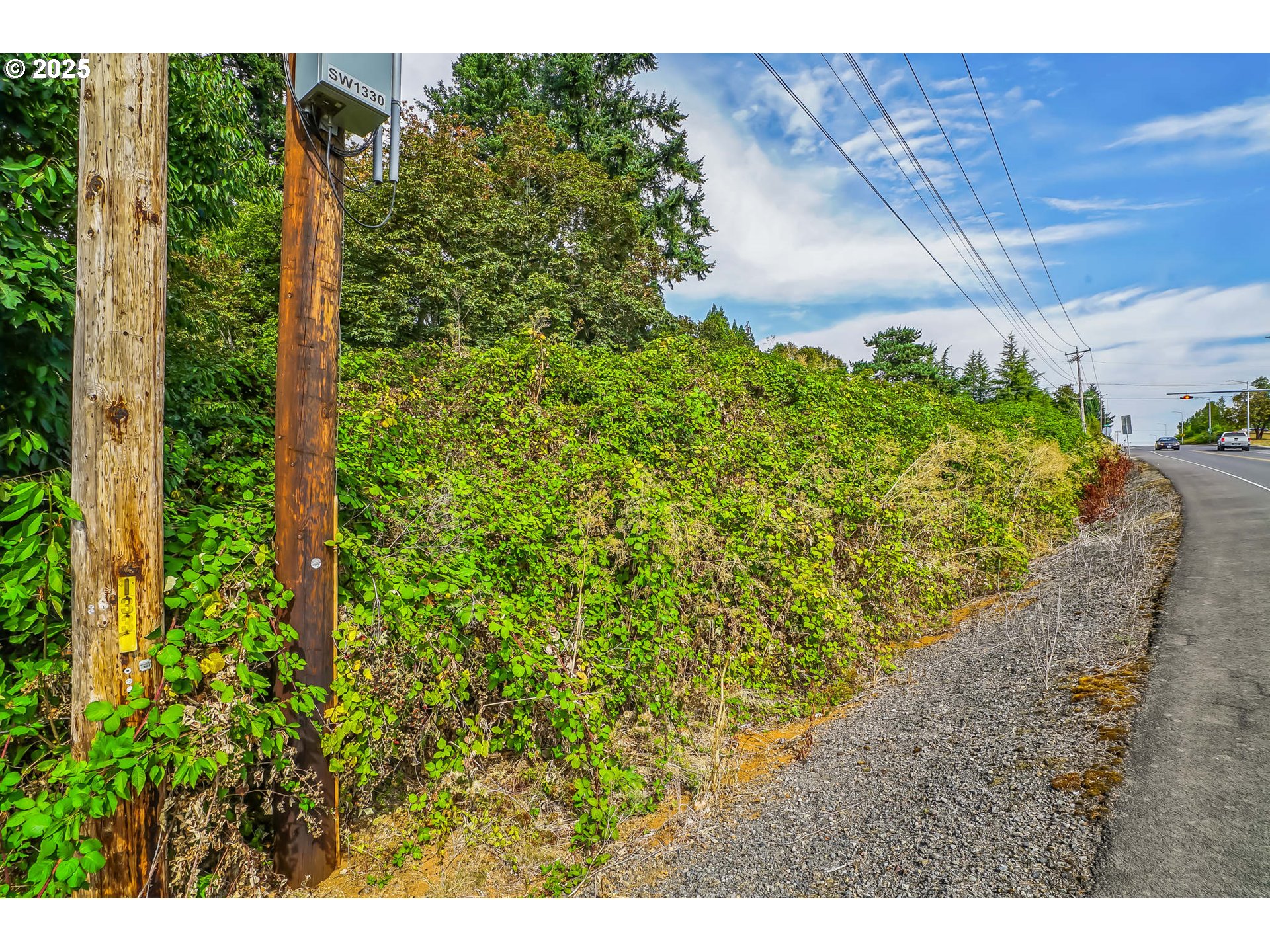 0 Northwest Doaks Ferry Road, Unit 2300 Salem, OR 97304 - Photo 26 of 30 a view of a garden with plants