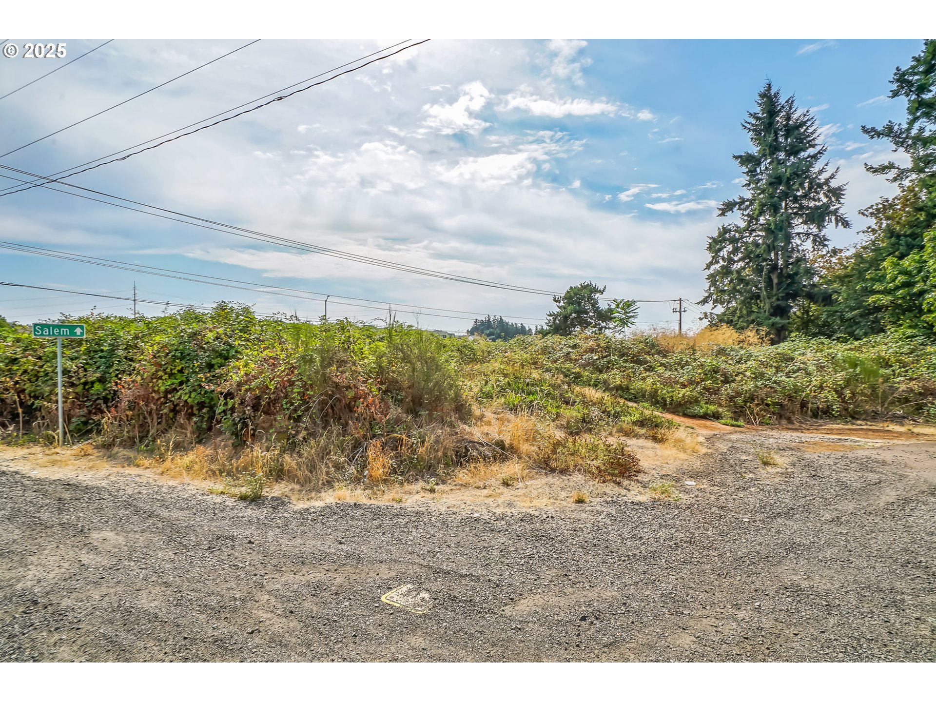 0 Northwest Doaks Ferry Road, Unit 2300 Salem, OR 97304 - Photo 30 of 30 a view of a yard with an trees