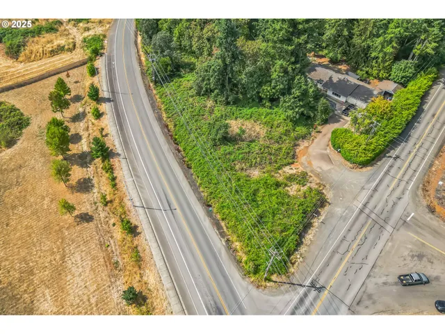 a view of a garden from a window