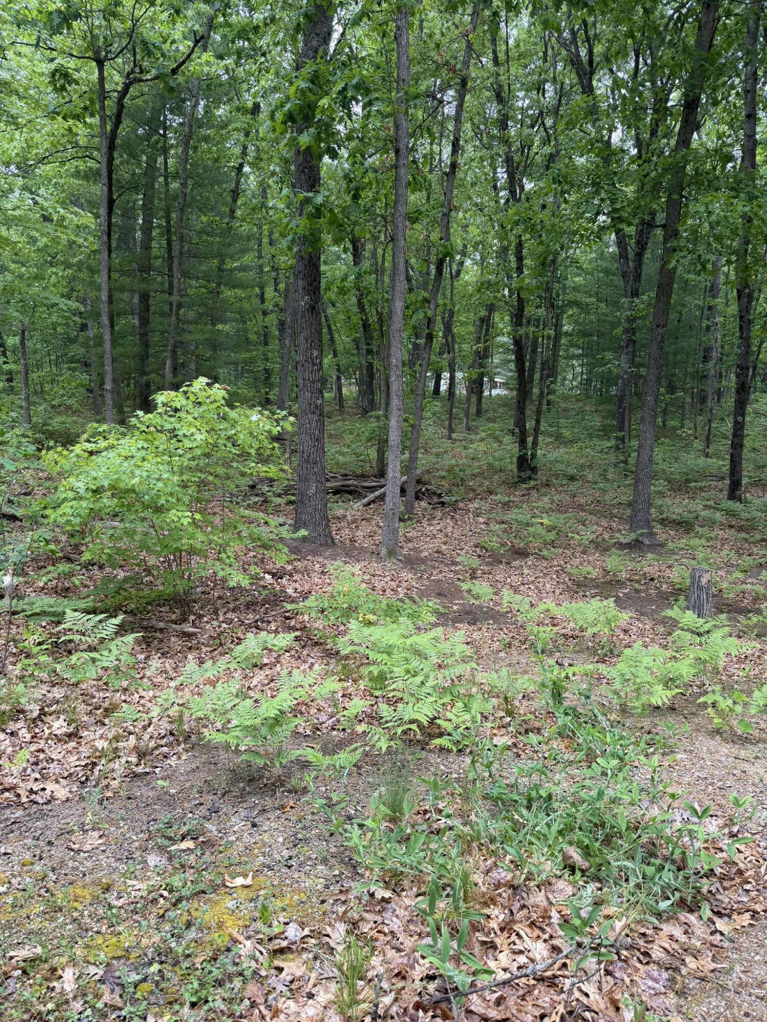 V/l East Sandra Kay Road Fountain, MI 49410 - Photo 5 of 13 cleared space2