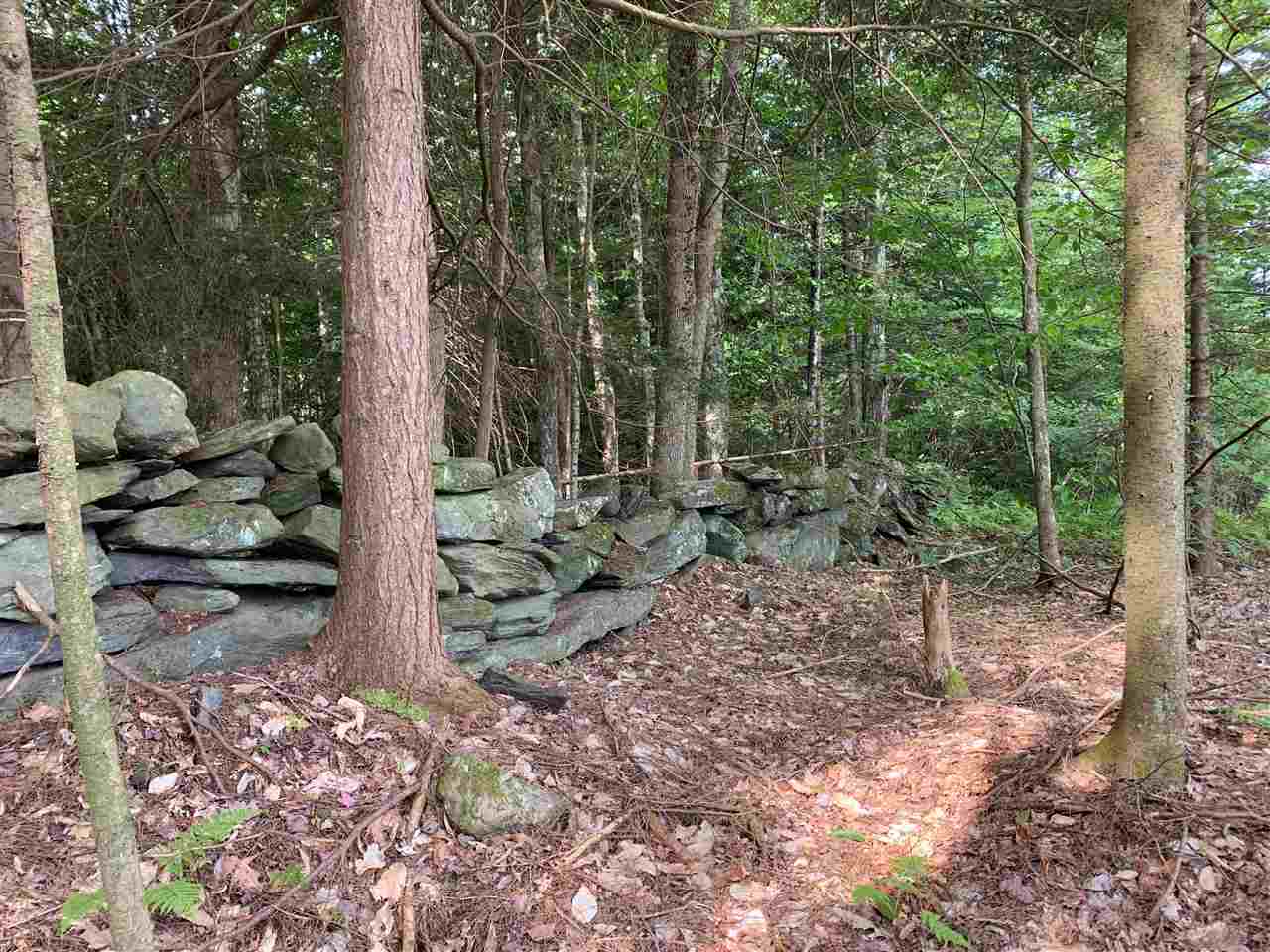 Indian Pond Road Piermont, NH 03779 - Photo 11 of 17 Gallery Image 11