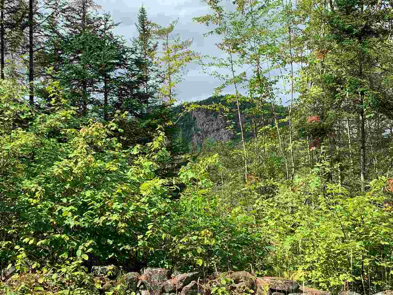 Indian Pond Road Piermont, NH 03779 - Photo 16 of 17 Gallery Image 16