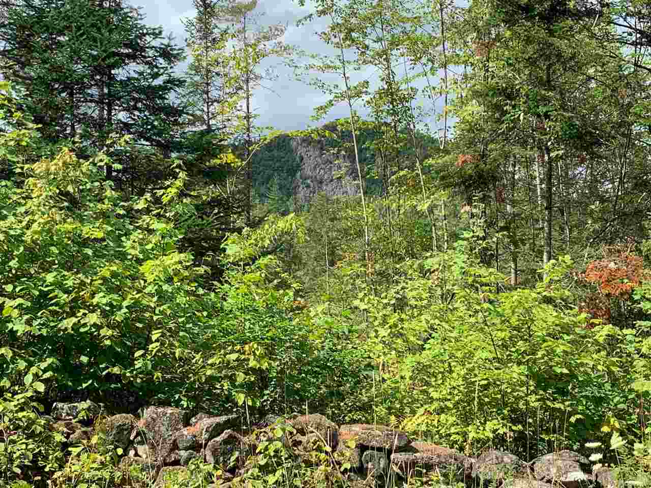 Indian Pond Road Piermont, NH 03779 - Photo 5 of 17 Gallery Image 5