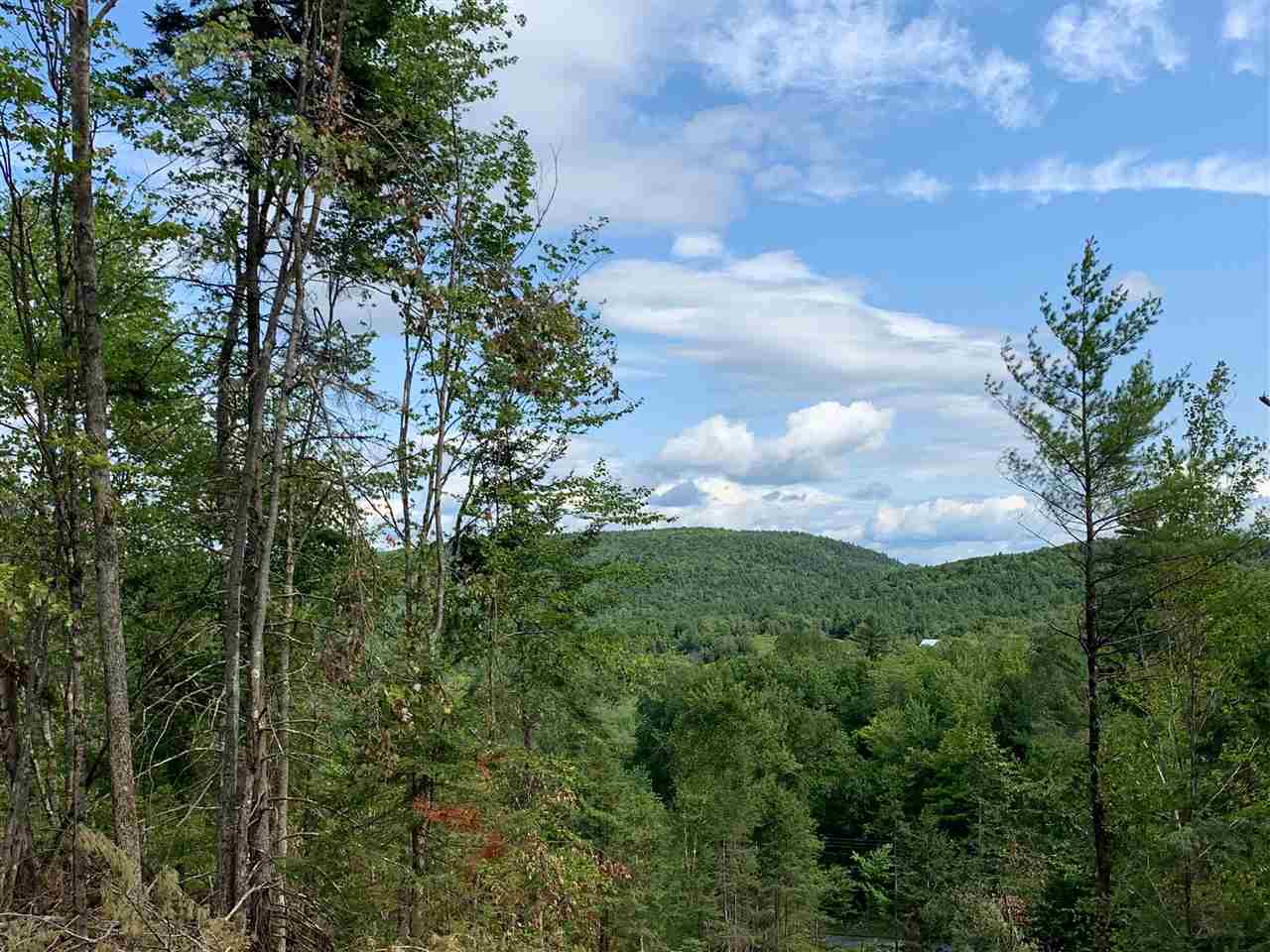 Indian Pond Road Piermont, NH 03779 - Photo 8 of 17 Gallery Image 8