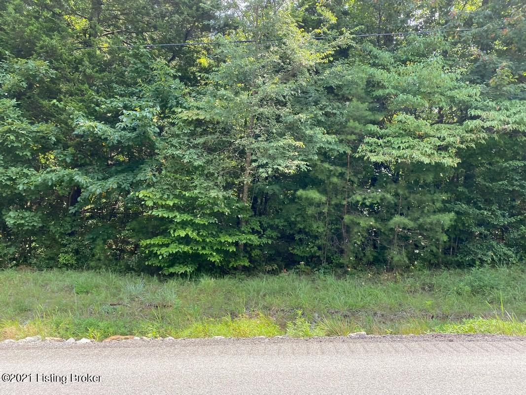 Lot 2-0 Wax Road Clarkson, KY 42726 - Photo 6 of 7 Logsdon Acres North Farm43