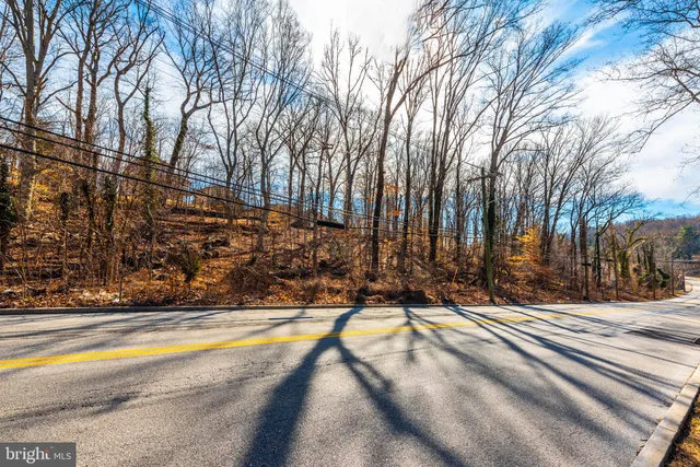 a view of a building with a large trees