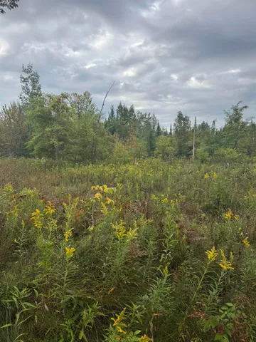 $139,900 | W2551 County Road 338, Menominee, MI 49858