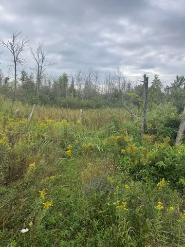 $139,900 | W2551 County Road 338, Menominee, MI 49858