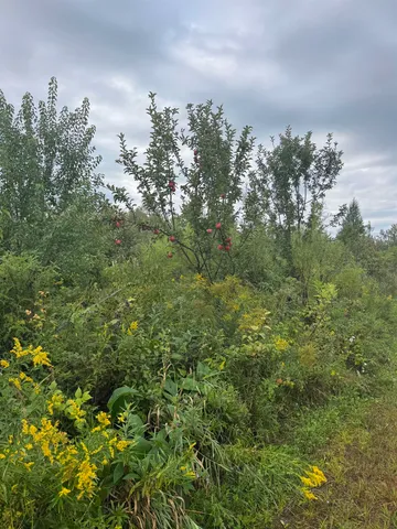 $139,900 | W2551 County Road 338, Menominee, MI 49858