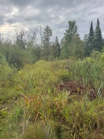 $139,900 | W2551 County Road 338, Menominee, MI 49858