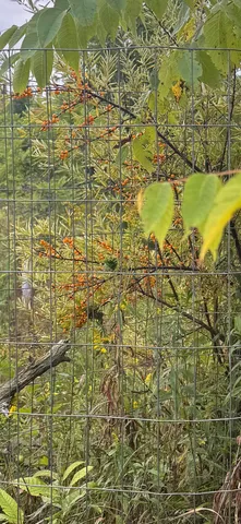 $139,900 | W2551 County Road 338, Menominee, MI 49858