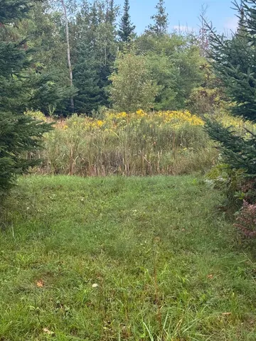 $139,900 | W2551 County Road 338, Menominee, MI 49858