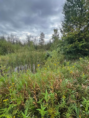 $139,900 | W2551 County Road 338, Menominee, MI 49858