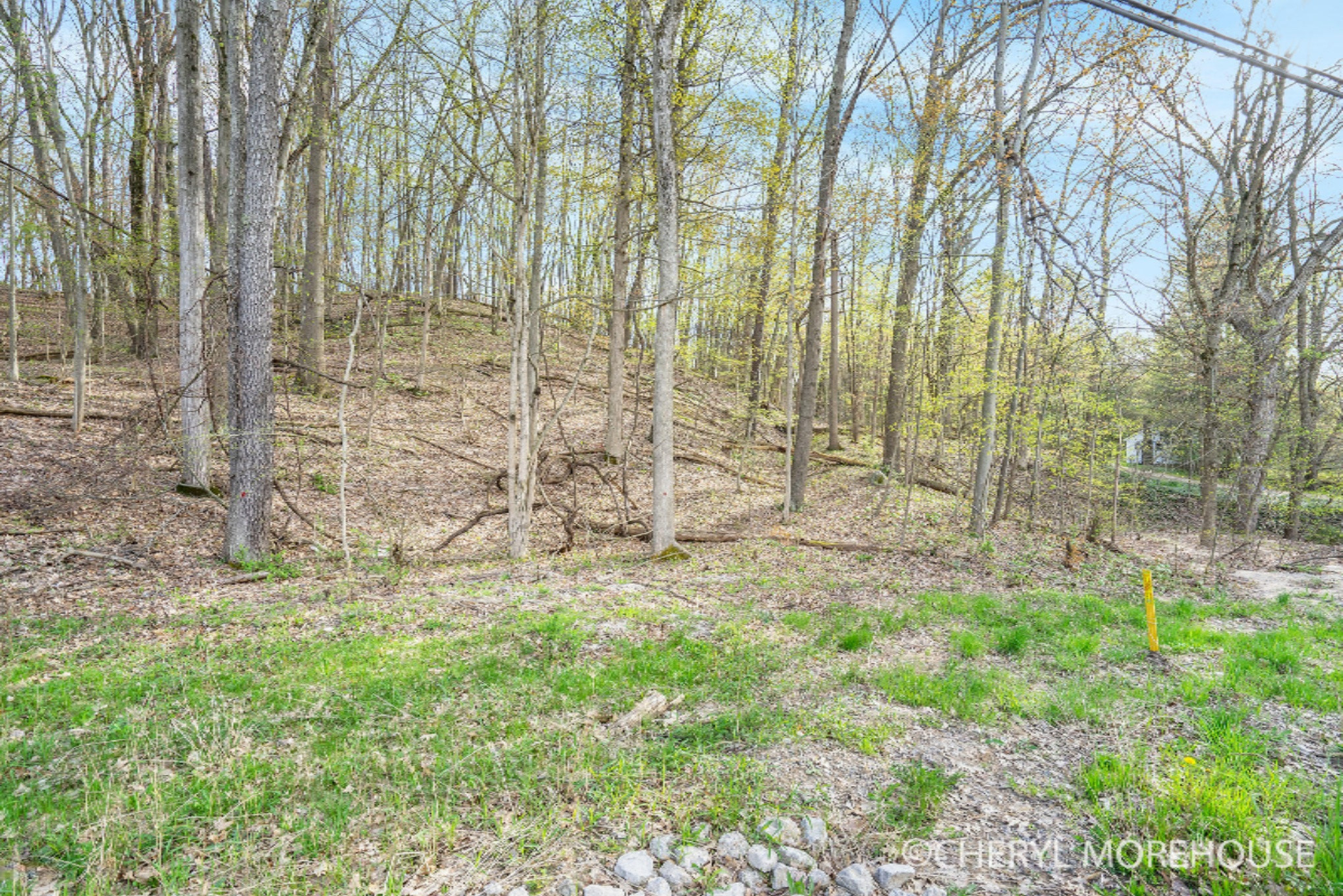 8000 Cascade Road Southeast Ada, MI 49301 - Photo 6 of 11 8000Cascade_4