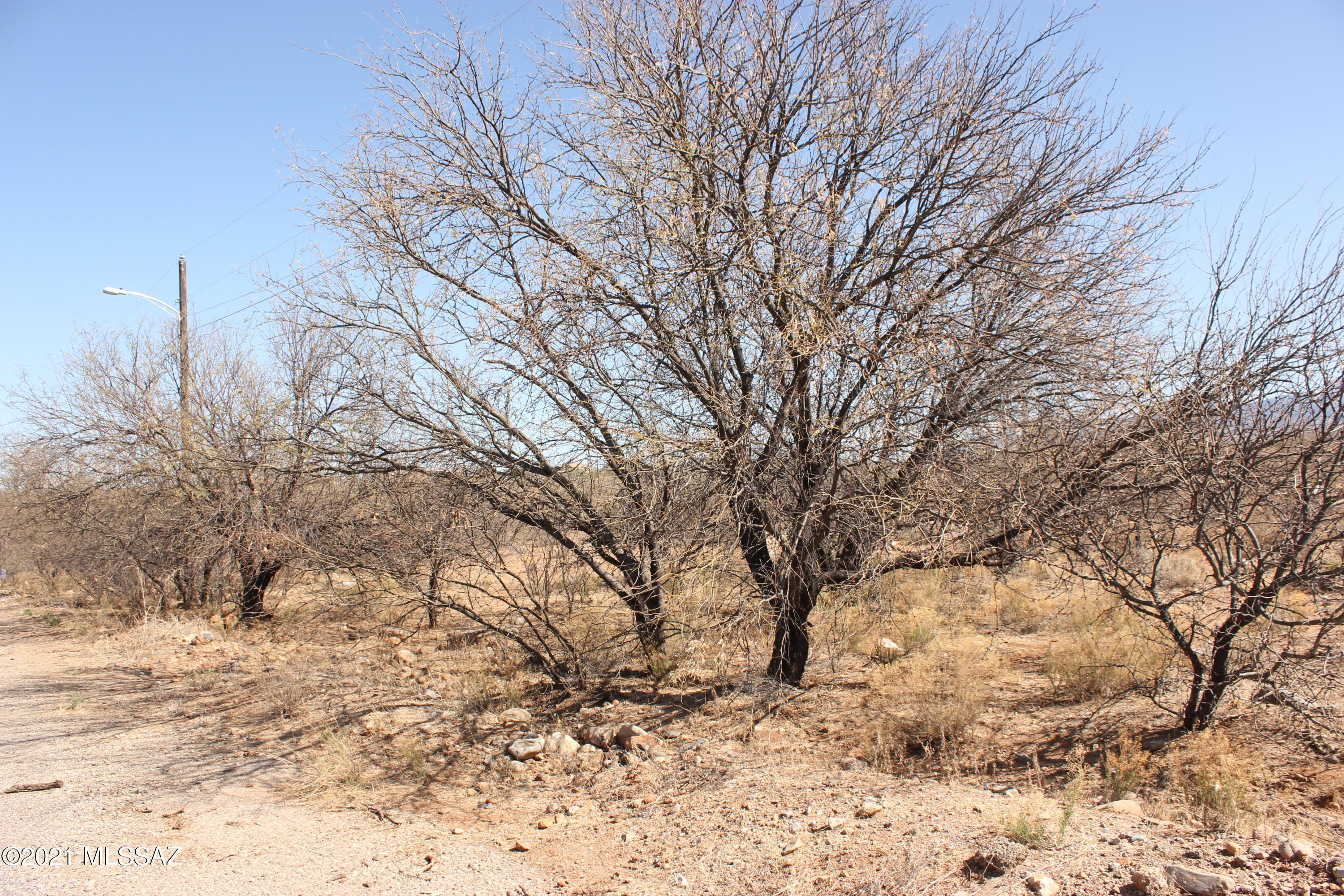 1845 Calle Mulata, Unit 59 Rio Rico, AZ 85648 - Photo 3 of 3 Gallery Image 3