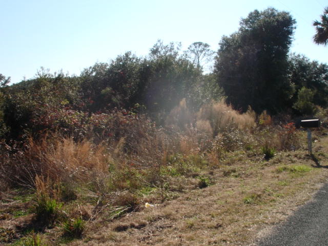 7679 Point Of Pines Road Edisto Island, SC 29438 - Photo 3 of 4 7679 Pt of Pines (3)