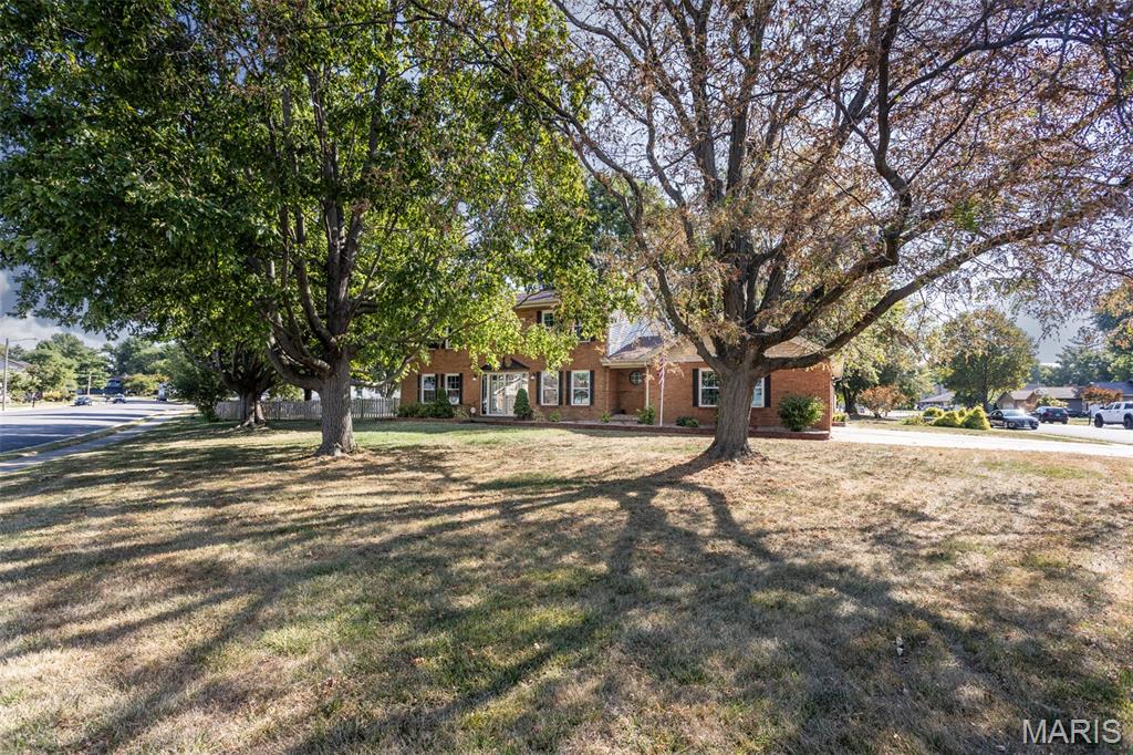 334 Aladar Drive O'Fallon, IL 62269 - Photo 4 of 46