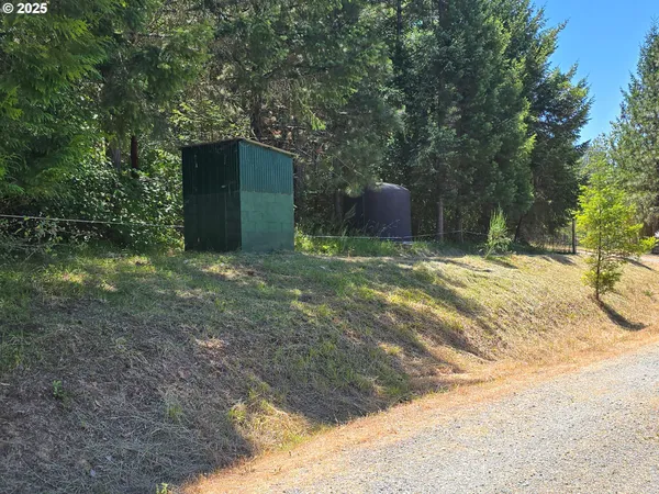 a open area with green field and trees in the background