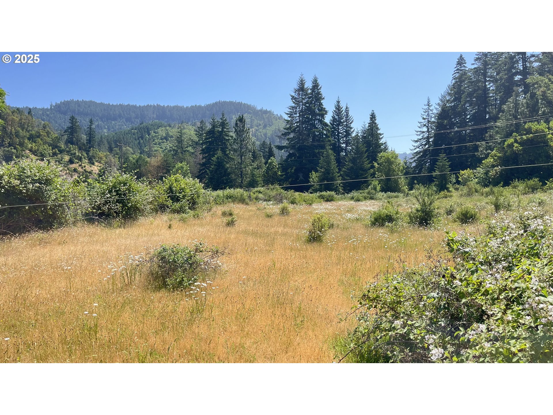 2157 Ferguson Lane Days Creek, OR 97429 - Photo 20 of 45