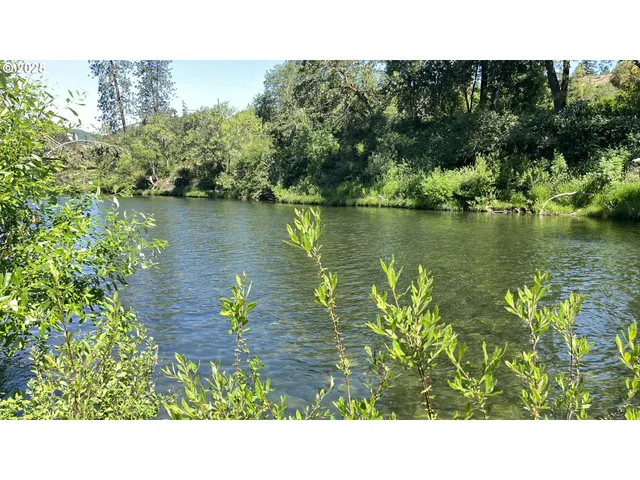 a open area with a lake view