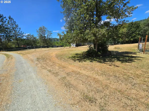 a view of a yard with a tree