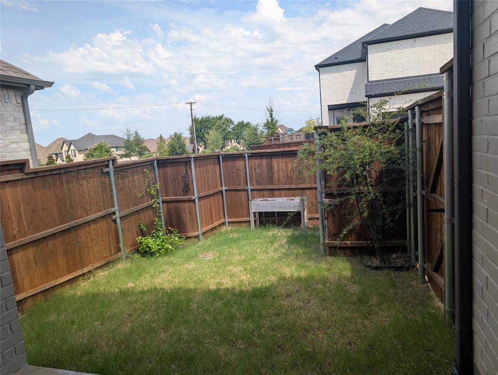 15532 Fringe Tree Road Frisco, TX 75035 - Photo 17 of 31 Private backyard featuring wood panel fencing, a grassy area, and a planted shrub